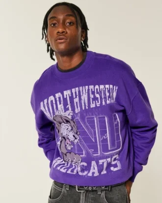 Hanorac cu grafică Boxy Northwestern University Wildcats