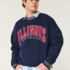 Hanorac cu imprimeu Fighting Illini al Universității Illinois