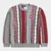 Pulover cu grafică Boxy The Ohio State University Buckeyes Pulover cu grafică Boxy The Ohio State University Buckeyes